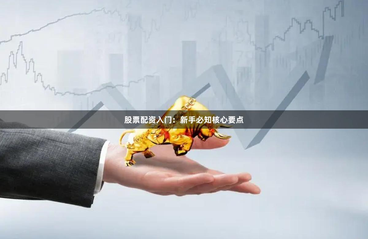 股票配资入门：新手必知核心要点