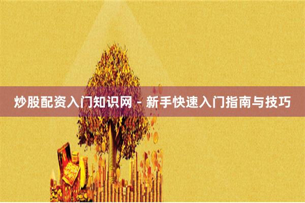炒股配资入门知识网 - 新手快速入门指南与技巧